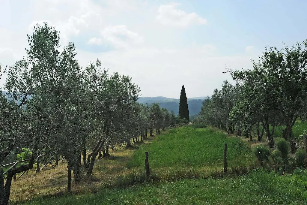 Gospodarstwo agroturystyczne Willa Borgo Rapale